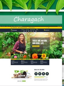 WordPress WooCommerce - W1210