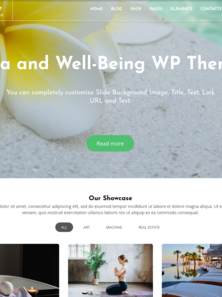WordPress - WP17683
