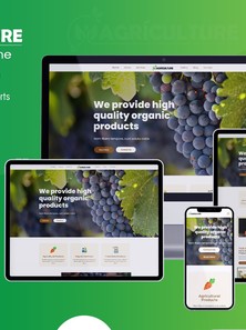 WordPress - WP17786