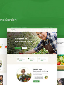 WordPress - WP17907