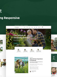 WordPress - WP17913
