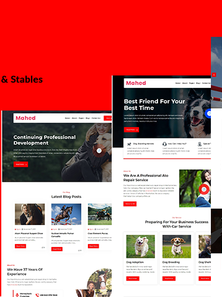 WordPress - WP17964