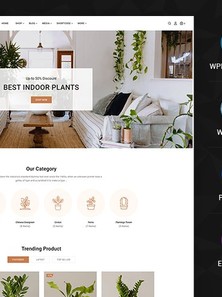 WordPress WooCommerce - W1375