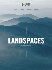 WordPress - WP18170