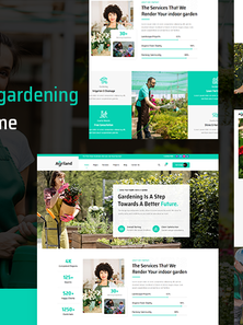 WordPress - WP18274