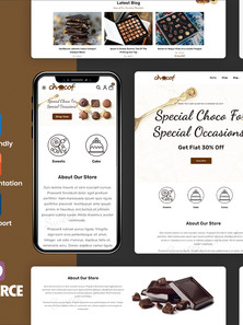 WordPress WooCommerce - W1399