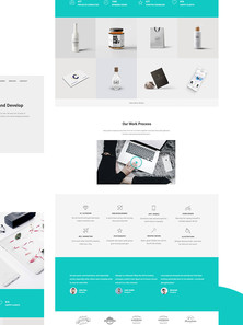 WordPress - WP18381
