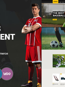 WordPress WooCommerce - W1539