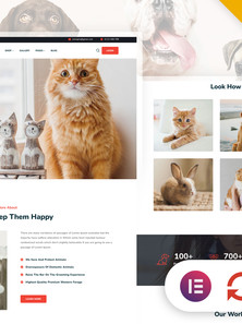 WordPress - WP18816