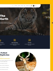 WordPress - WP18877