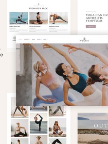 WordPress - WP18893