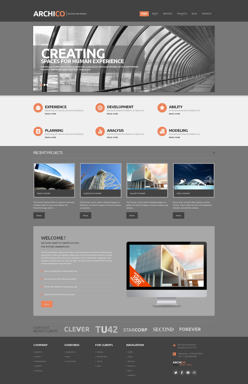 WordPress - WP31