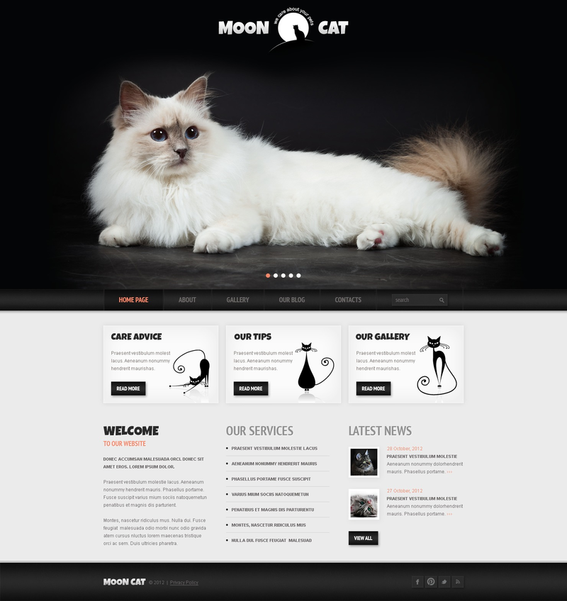 WordPress - WP1900