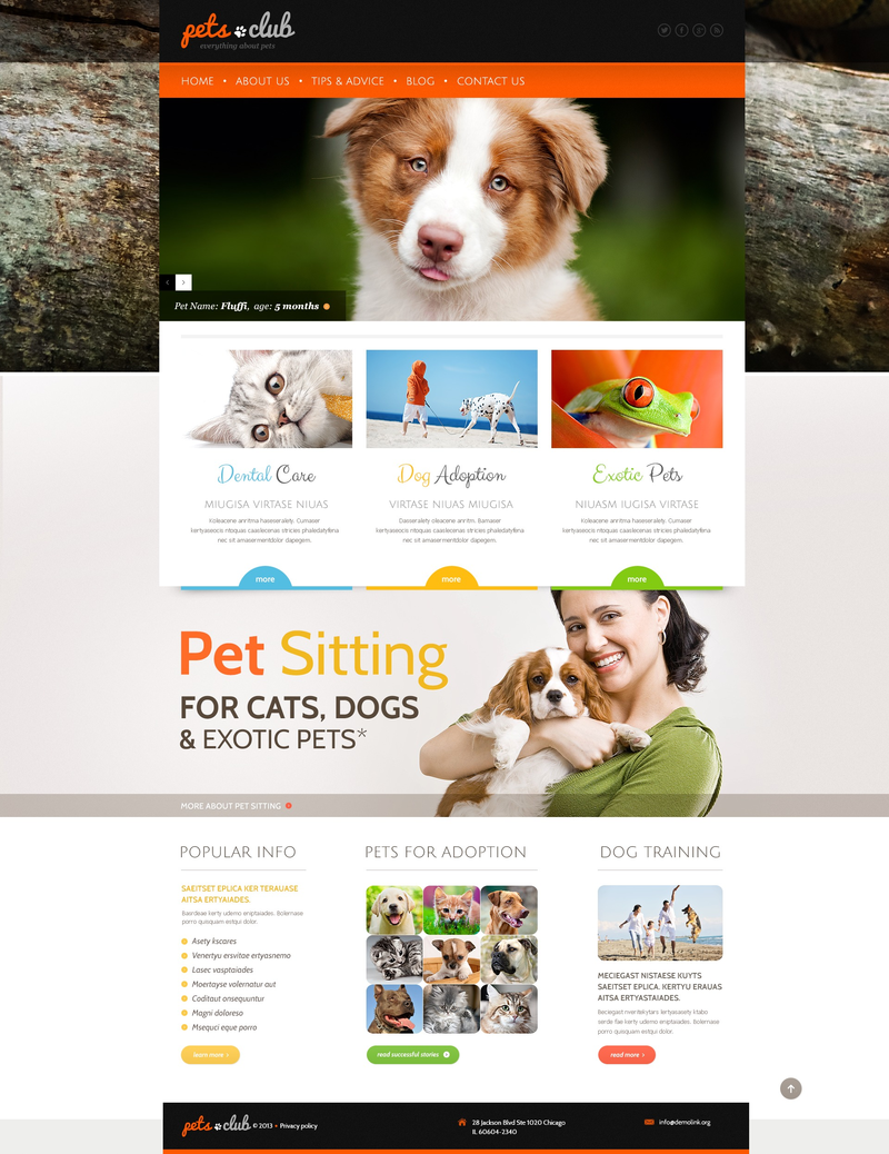 WordPress - WP2037