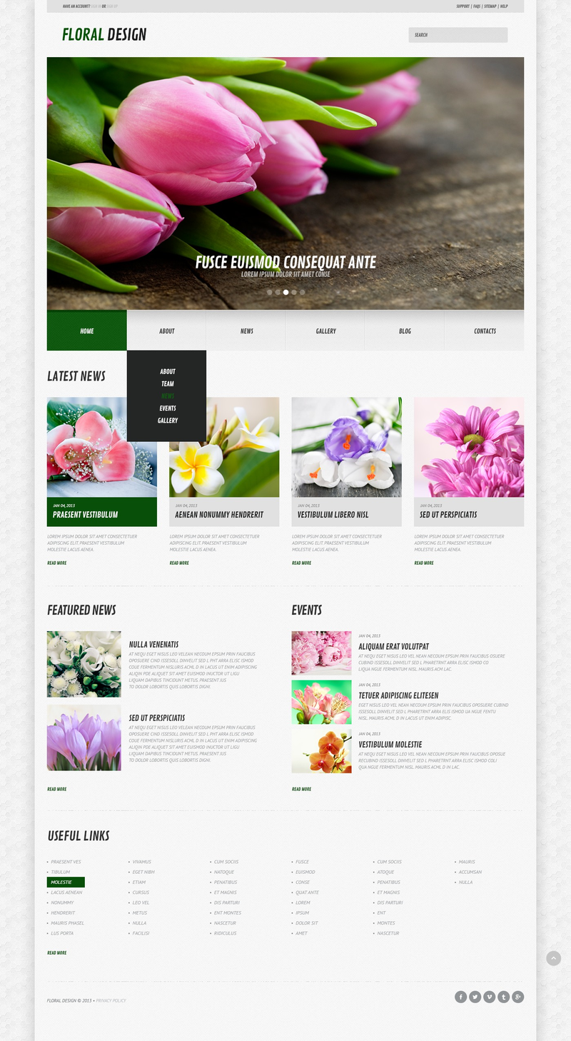 WordPress - WP2086