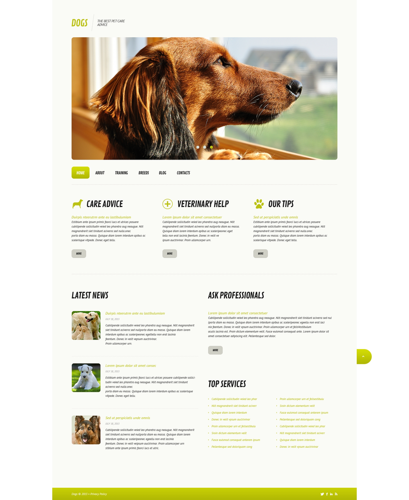 WordPress - WP2215