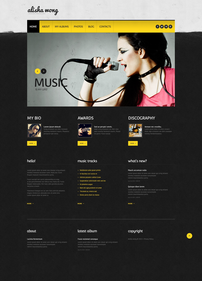 WordPress - WP2243