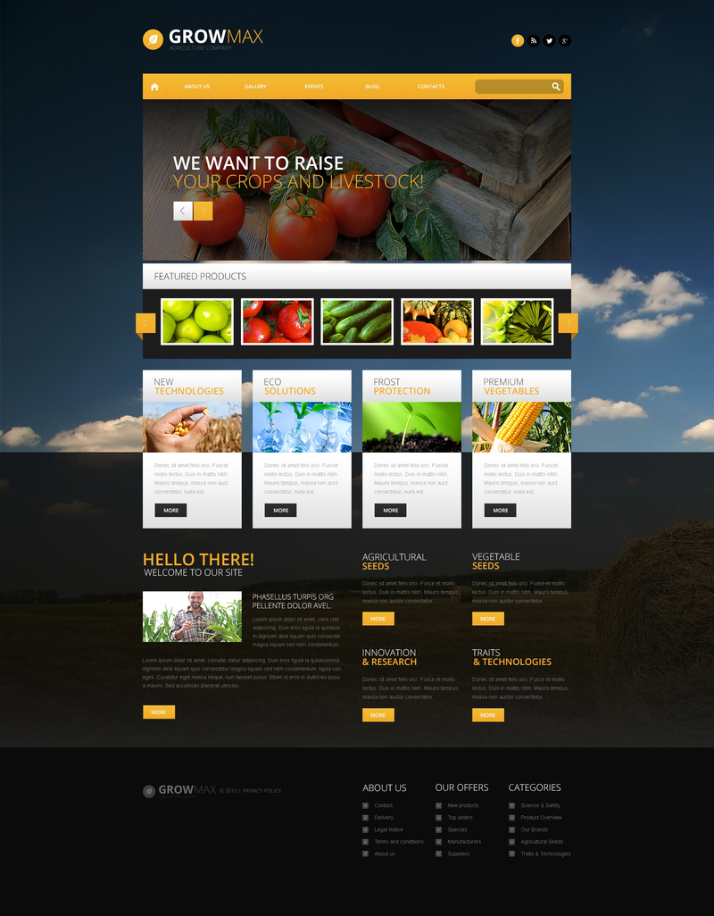 WordPress - WP2302