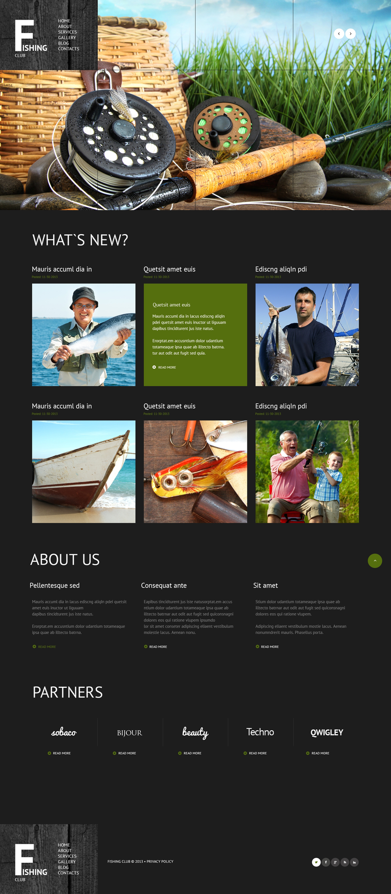 WordPress - WP2358