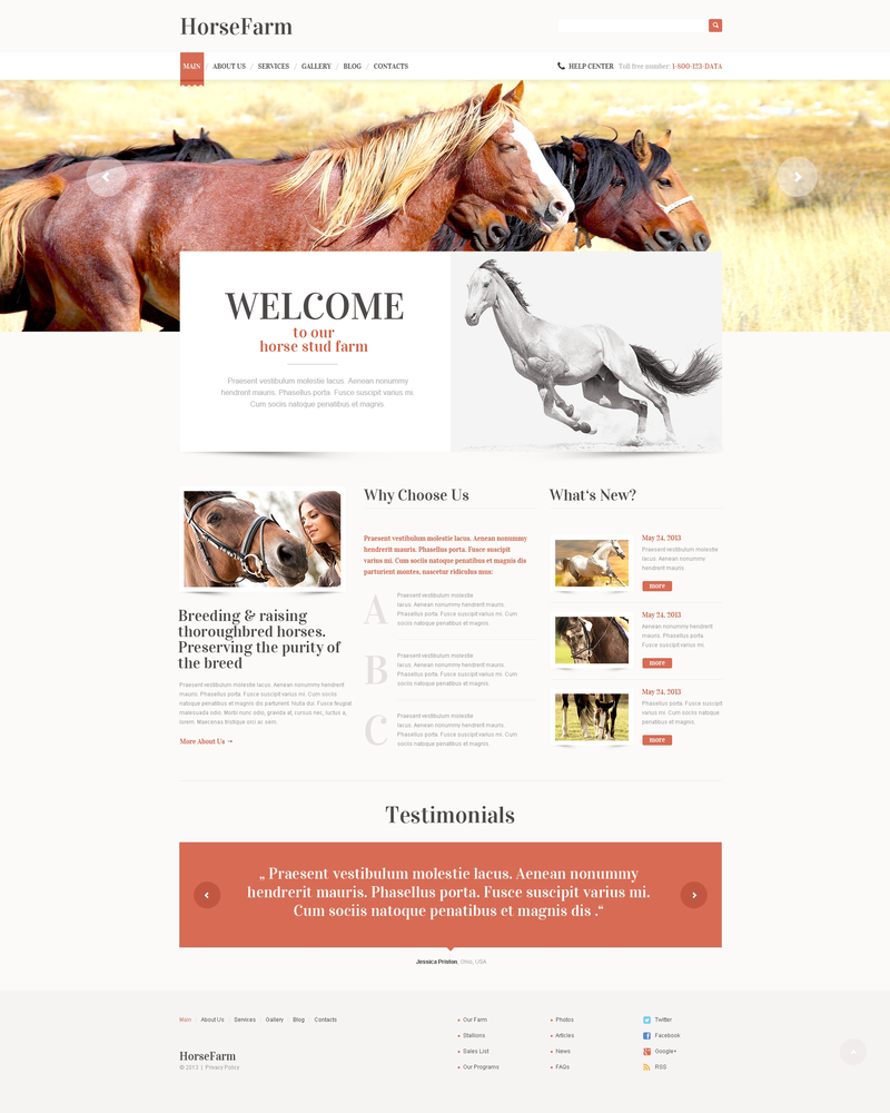 WordPress - WP2377