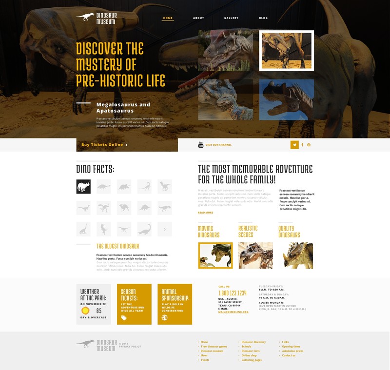 WordPress - WP2411