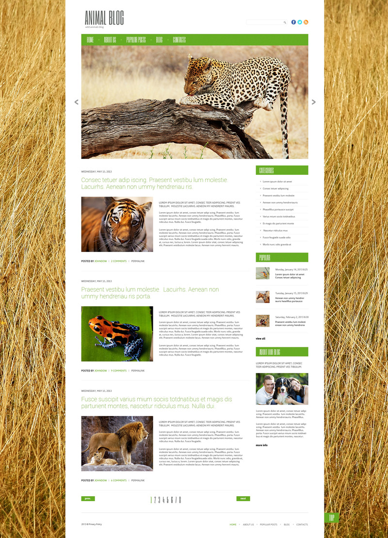 WordPress - WP2419