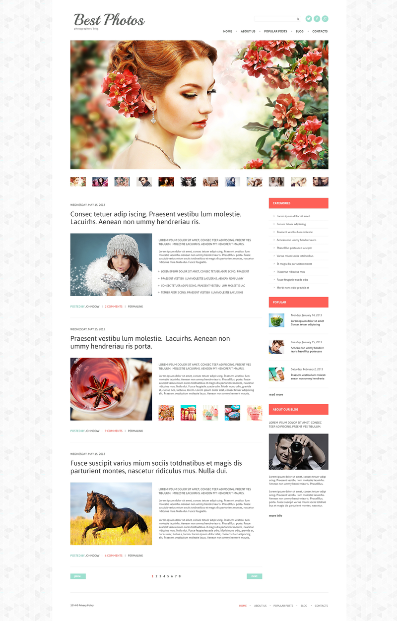 WordPress - WP2425
