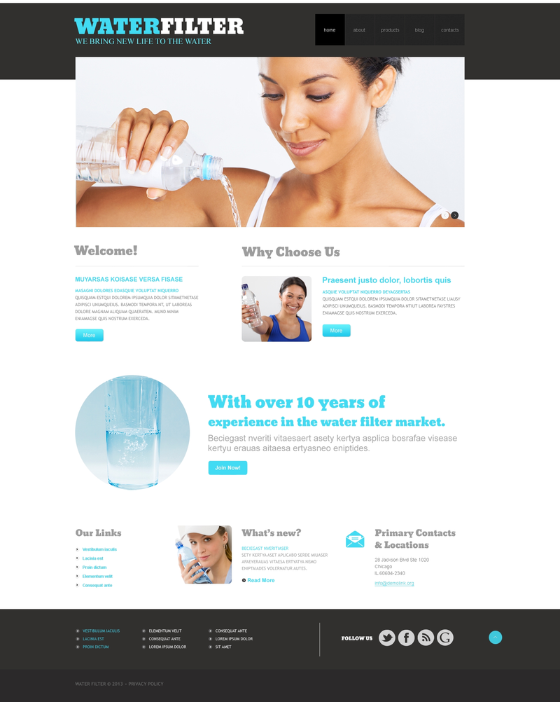 WordPress - WP2432