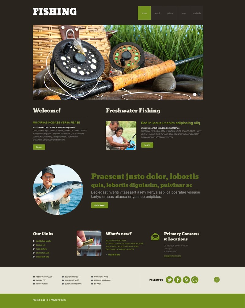 WordPress - WP2433