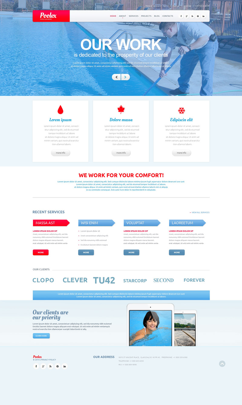 WordPress - WP2444