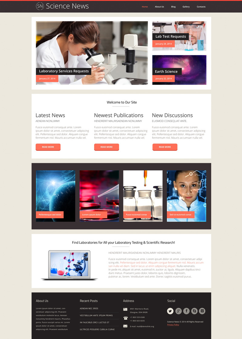 WordPress - WP2484