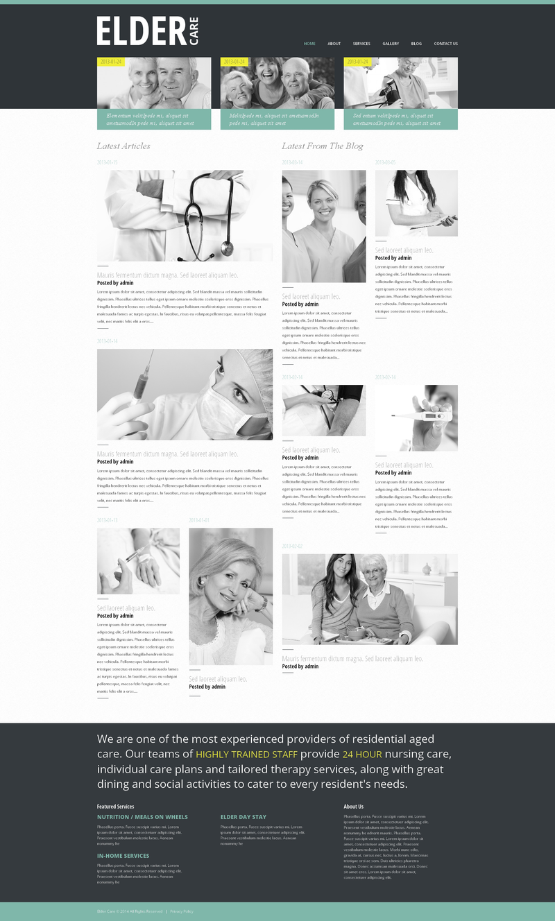 WordPress - WP2490