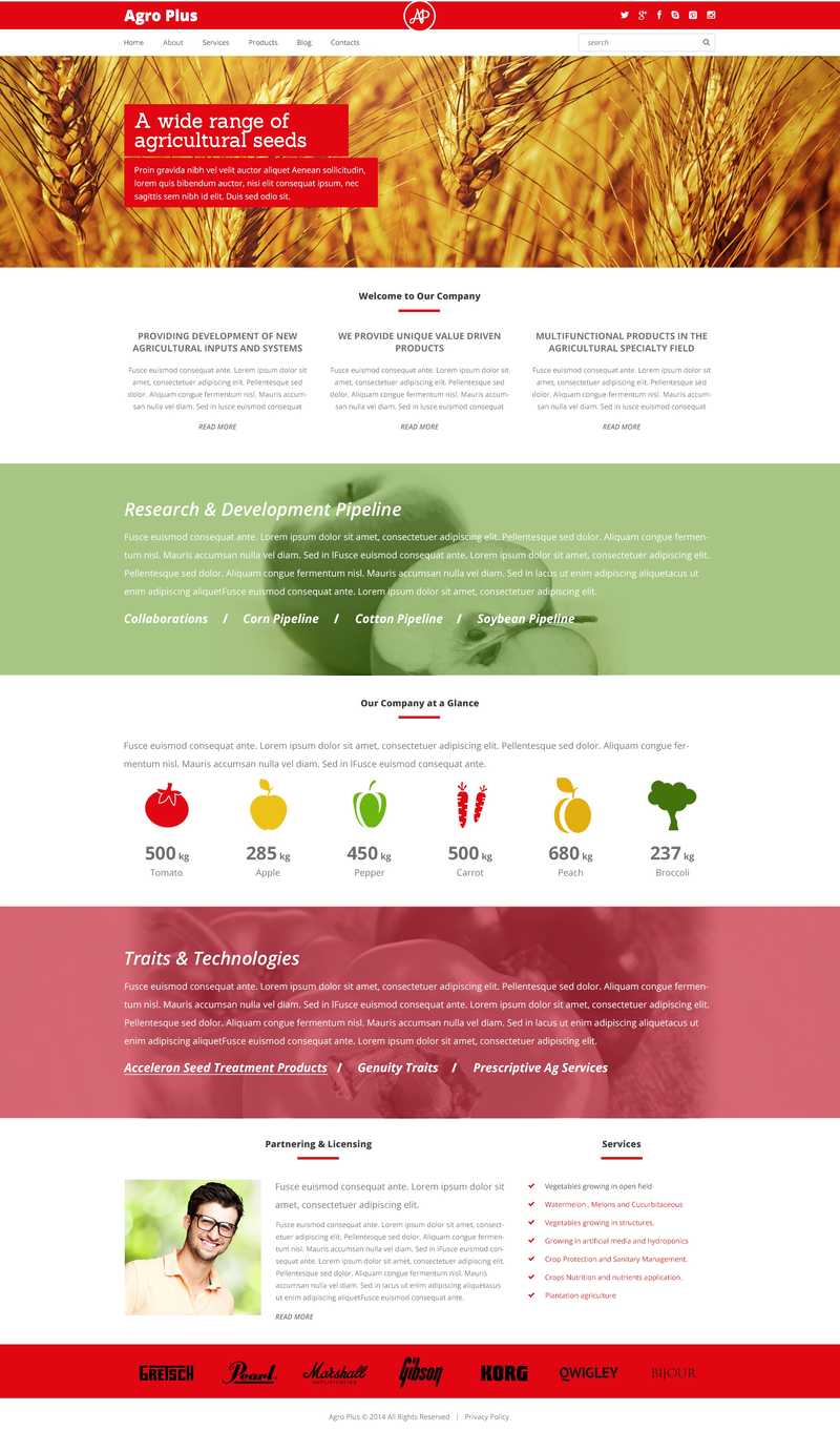 WordPress - WP2514