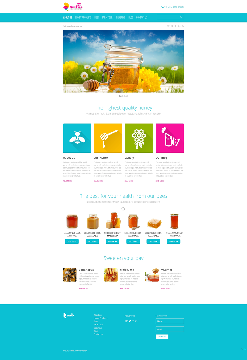WordPress - WP2560