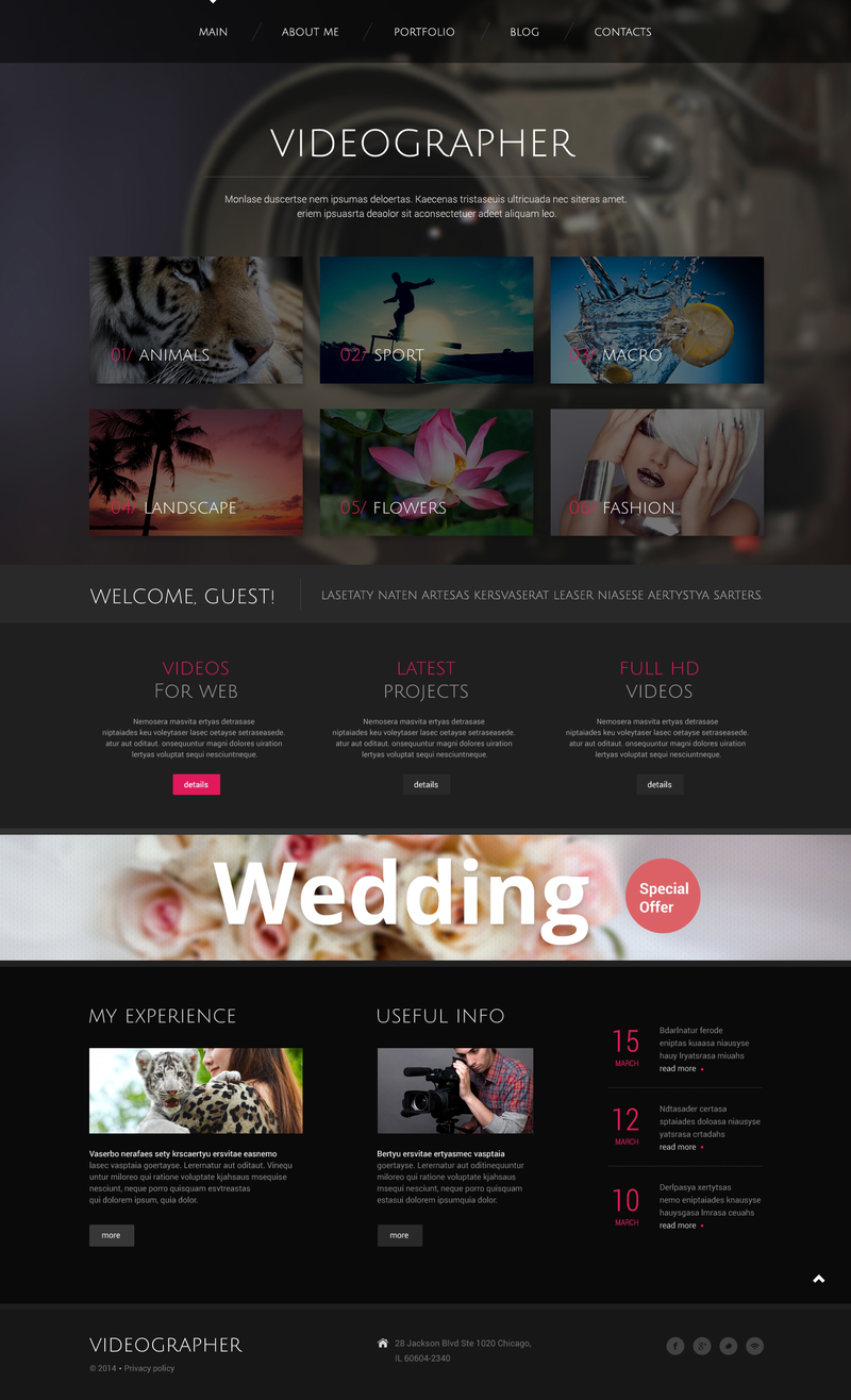 WordPress - WP2568