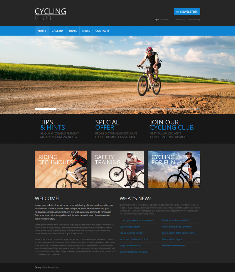 WordPress - WP2629