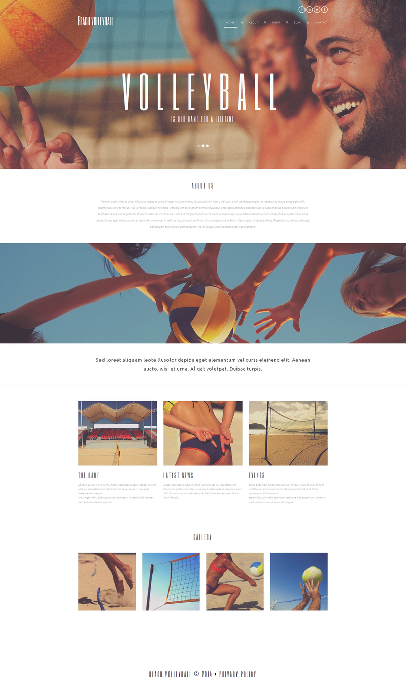 WordPress - WP2668