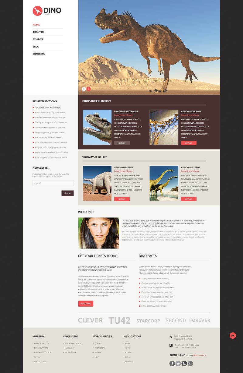 WordPress - WP2674