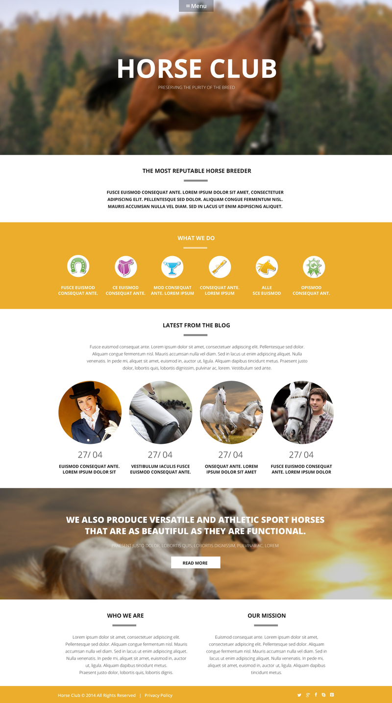 WordPress - WP2707