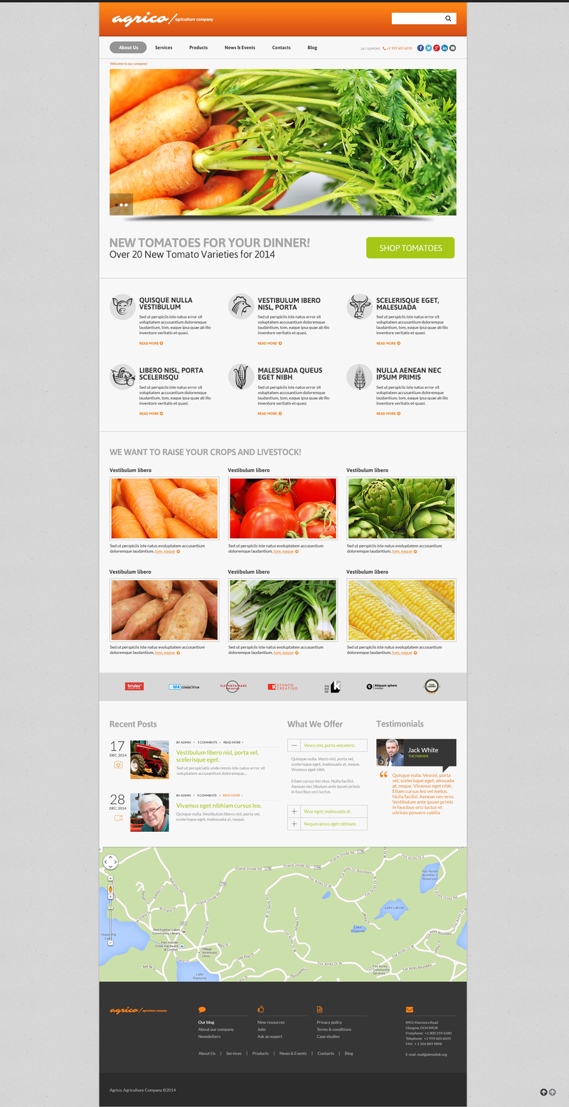 WordPress - WP2740
