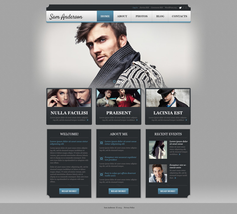 WordPress - WP2745
