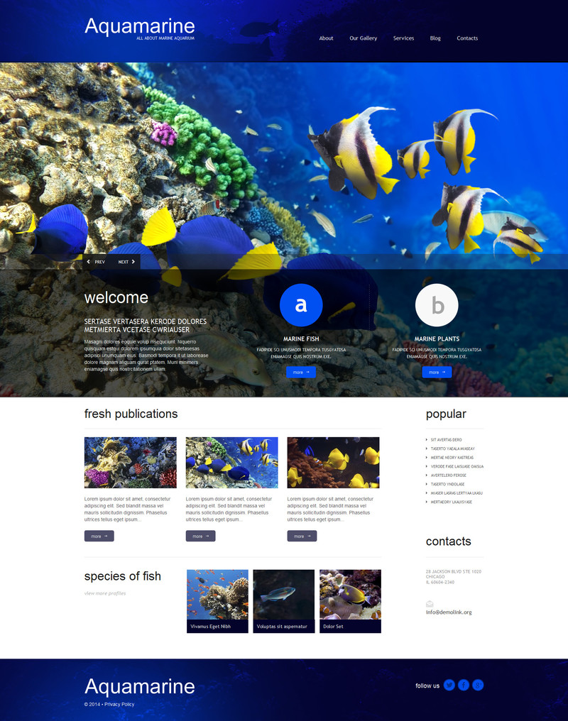 WordPress - WP2807