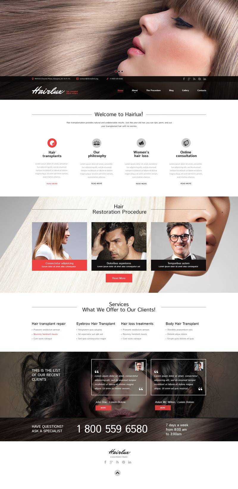 WordPress - WP2817