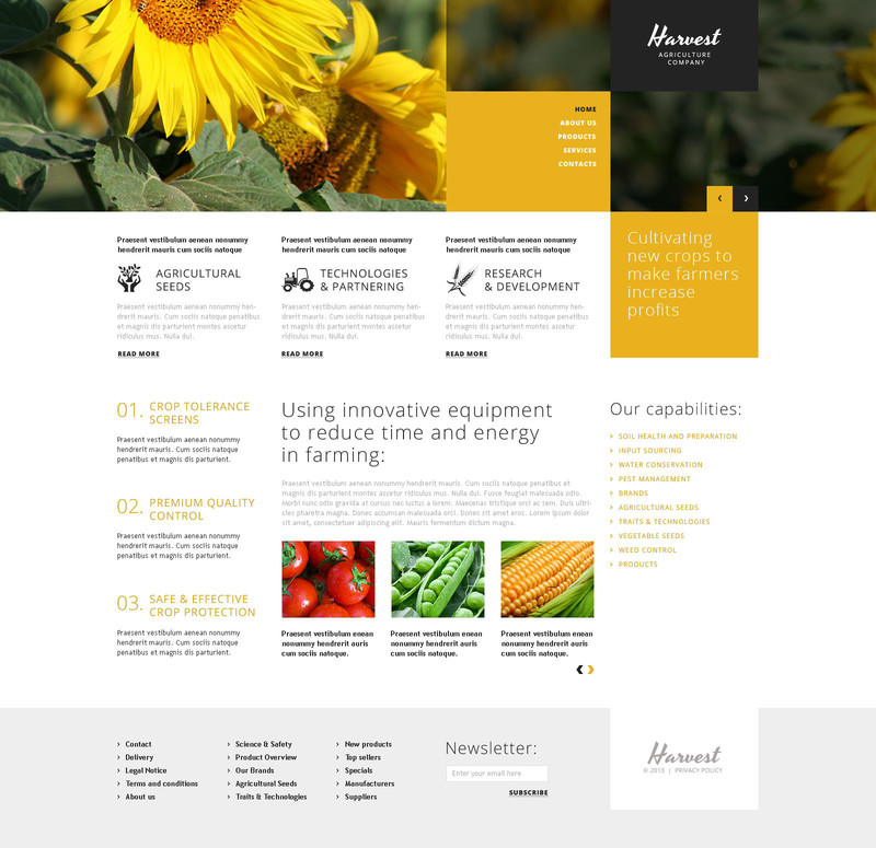 WordPress - WP2856