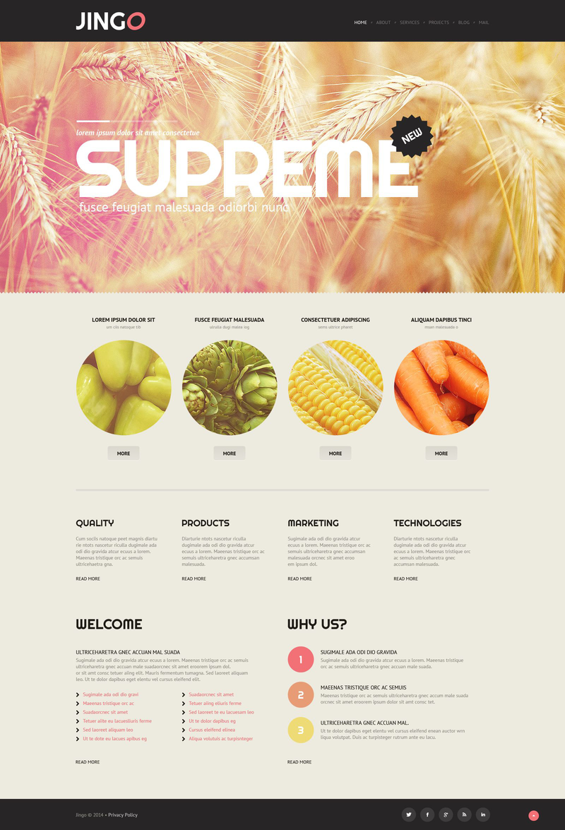 WordPress - WP2895