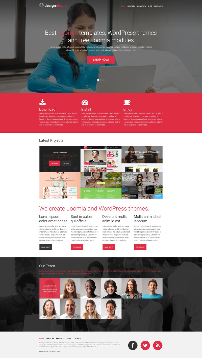 WordPress - WP2906