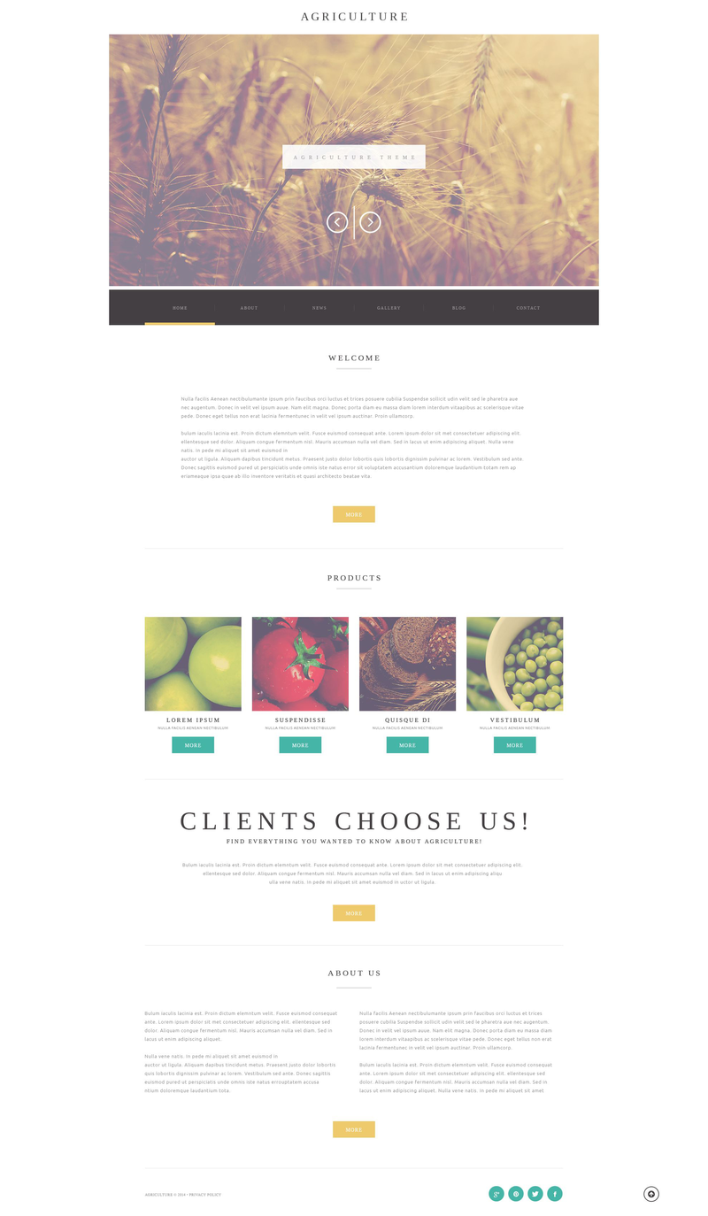 WordPress - WP2907