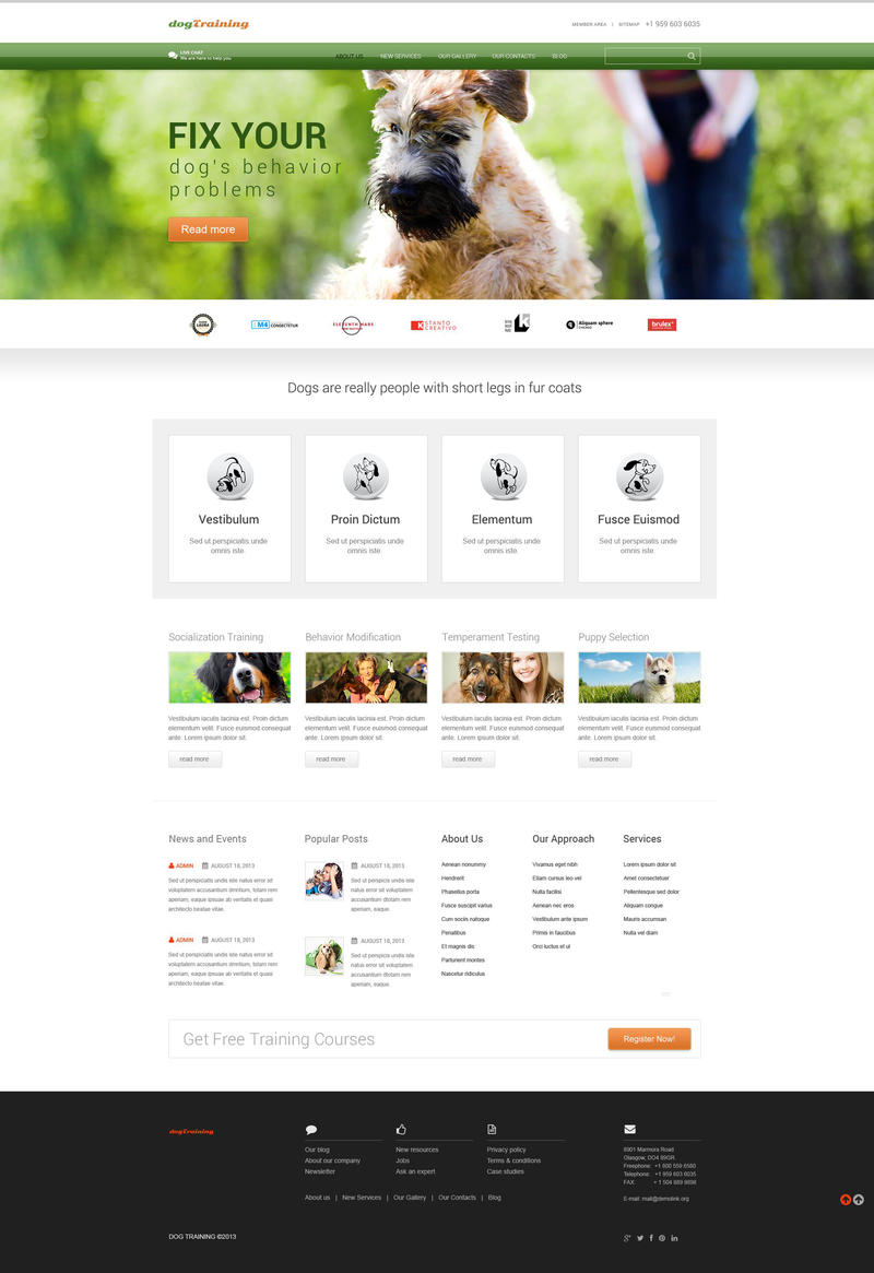 WordPress - WP2936