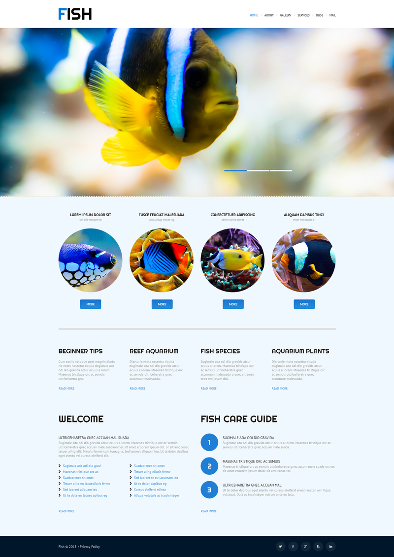 WordPress - WP3028