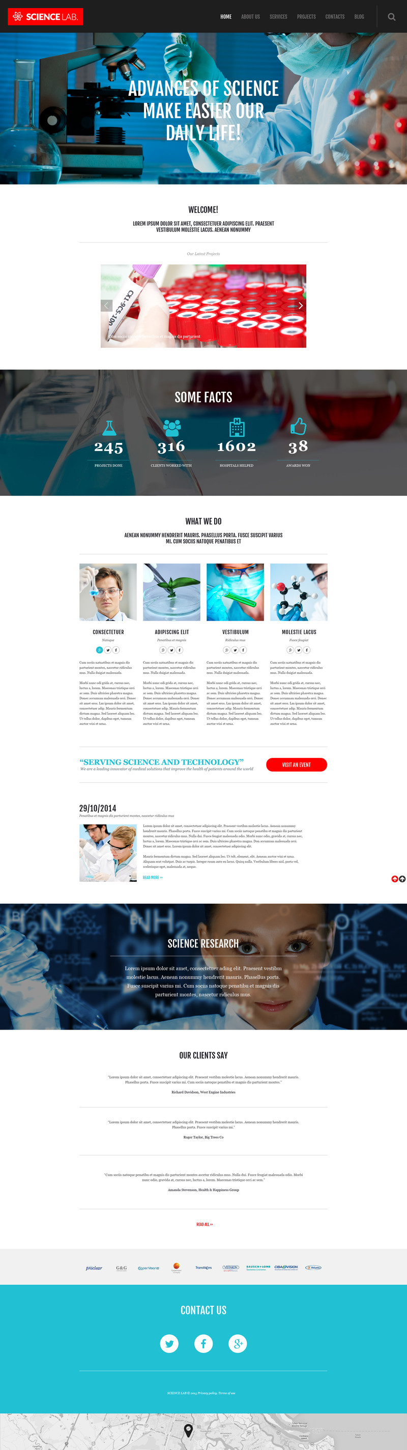 WordPress - WP3037